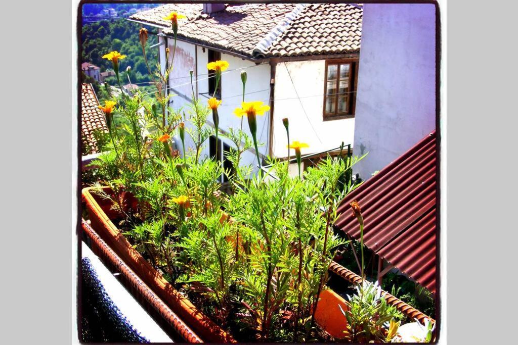 Authentic Guest Stay In The Heart Of Veliko Tarnovo Студио С Изглед Към Царевец Luaran gambar